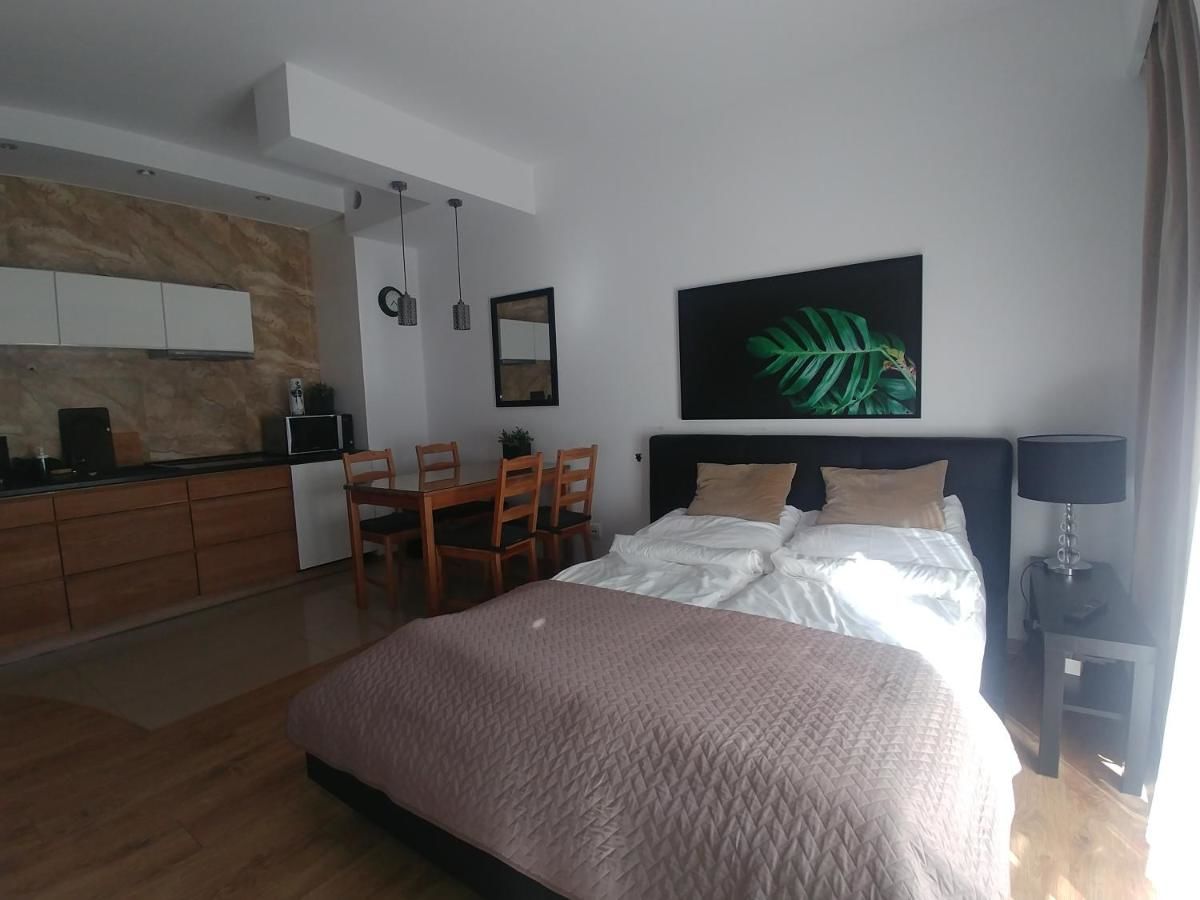 Апартаменты Apartament w Sopocie Сопот